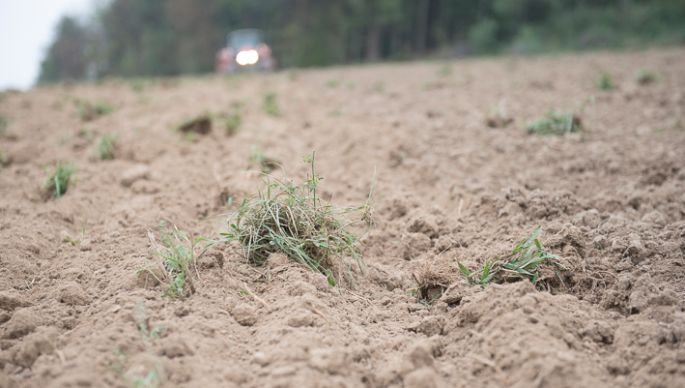 leeb-vital-traktor-auf-feld