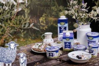 Sortiment von Schafmilchprodukten auf Holztisch mit Dekoration