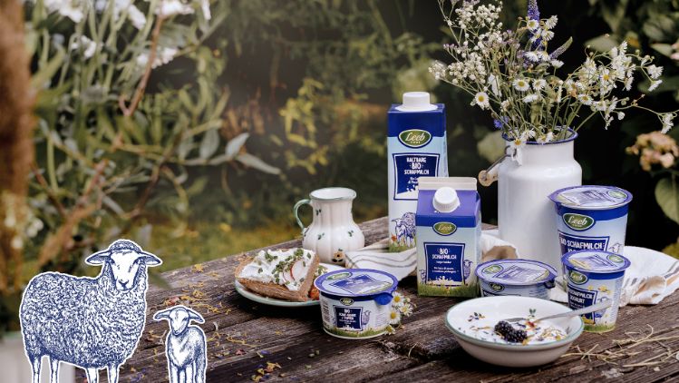 Sortiment von Schafmilchprodukten auf Holztisch mit Dekoration