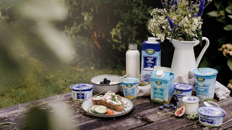 Schaf- und Ziegenmilchprodukte im Picknickdesign auf Holztisch