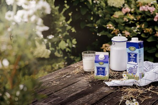 Schafmilch in großem und kleinem Format auf Holztisch mit Milchkanne 