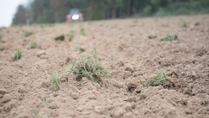 Feld mit Trakor im Hintergrund