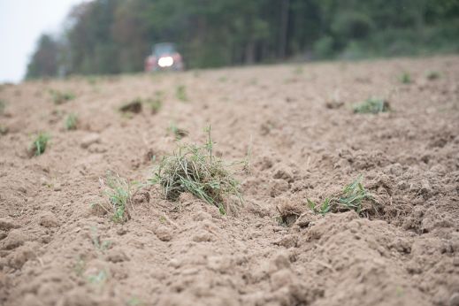 Feld mit Trakor im Hintergrund