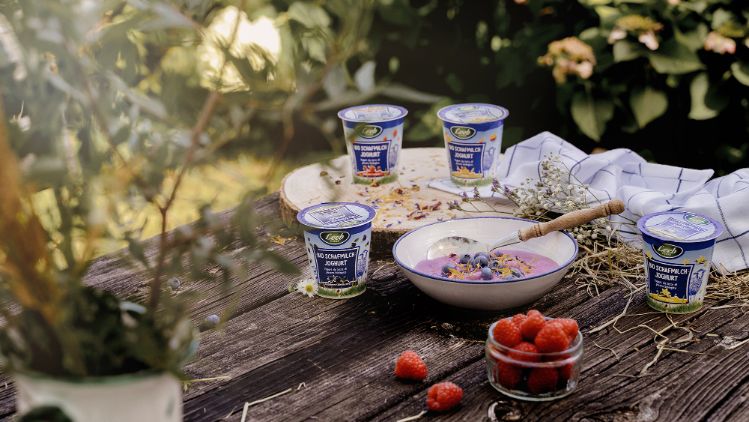 Schaf-Fruchtjoghurt in verschiedenen Sorten mit Müslischale und Himbeeren