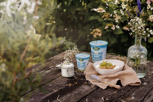 Ziegen-Naturjoghurt auf Holztisch mit Dekoration