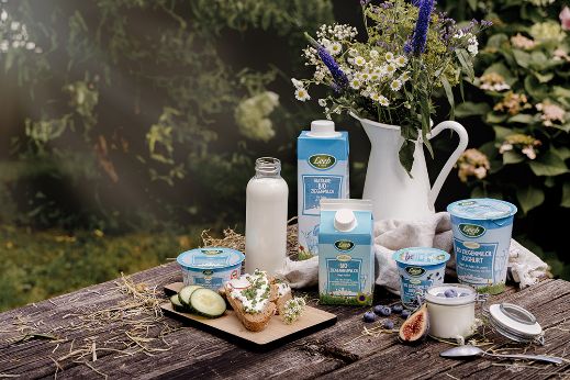 Ziegenmilchprodukte auf Holztisch mit Dekoration