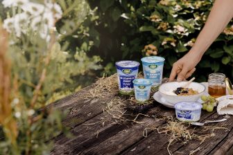 Schaf- und Ziegenmilch Naturjoghurts auf Holztisch mit Dekoration