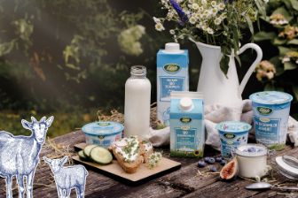 Sortiment von Ziegenmilchprodukten auf Holztisch mit Dekoration